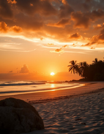 Beautiful sunset on the beach. Tropical landscape.