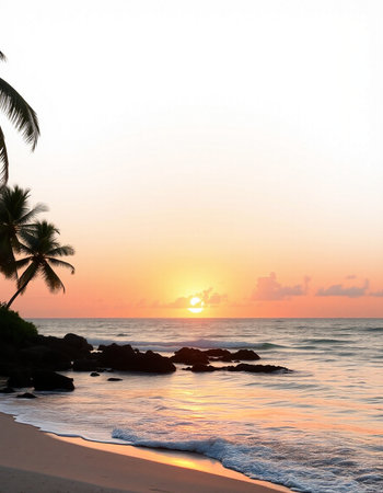 Tropical beach with palm trees at beautiful sunset. Nature background