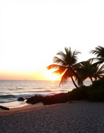 Beautiful sunset on the beach with palm trees. Toned.