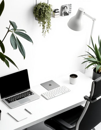 Modern workplace with laptop, coffee cup and plant on white wall background