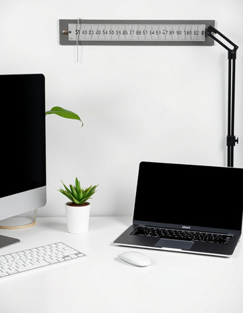 Workplace with computer and plant on white wall background, closeup