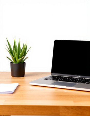 Laptop with blank screen and plant on wooden desk isolated on white background