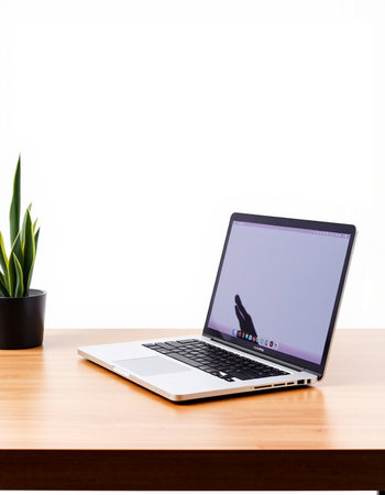 Laptop on a wooden desk with a white background and green plant