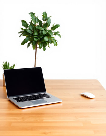 Laptop with blank screen on wooden table with green plant on white background