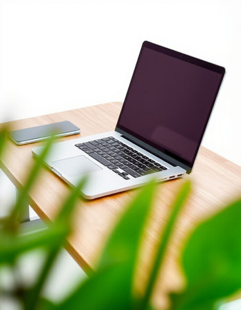 Laptop with blank screen on wooden table and plant on white background