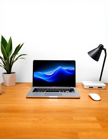 Laptop on a wooden desk with a white wall and a plant