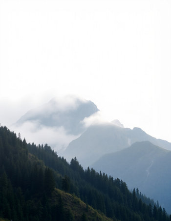 Mountains in the fog. Caucasus. Russia. Dombay.の写真素材