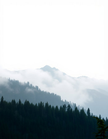 Mountains and forest in the mist, Carpathians, Ukraine