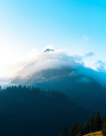 Mountains and forest in the mist at sunset. Nature background.