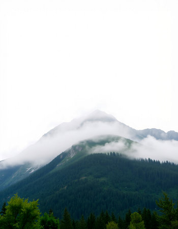 Mountain landscape with forest and fog in the morning.の写真素材