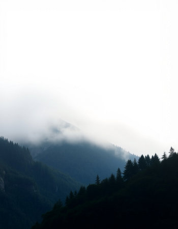 Foggy mountain landscape with coniferous forest in the foregroundの写真素材