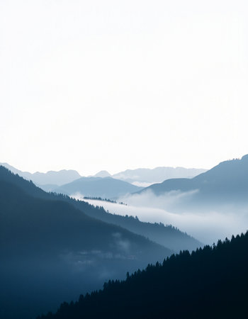 Foggy morning in the Carpathian mountains.の写真素材