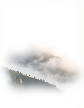 Foggy mountain landscape in the morning. Landscape with fog.