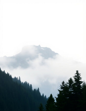 Foggy morning in the mountains with coniferous trees.