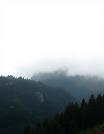 Foggy morning in the mountains. Carpathians, Ukraineの写真素材