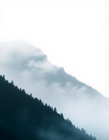 Foggy mountain landscape with coniferous forest in the foreground