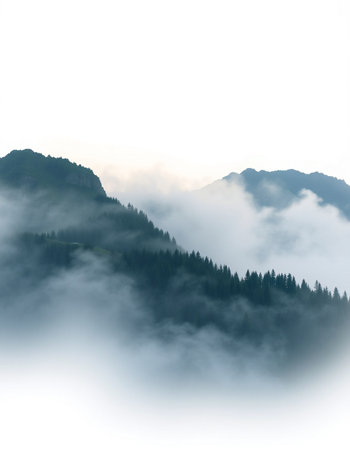 Foggy mountain landscape in the morning, Carpathians, Ukraine