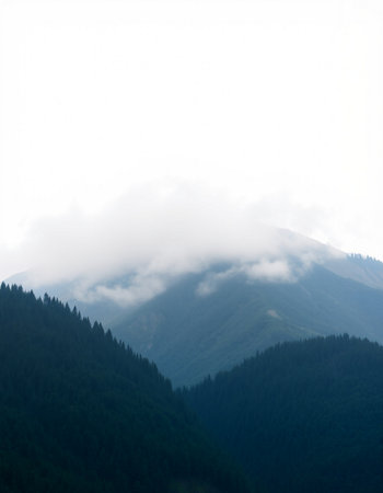 Beautiful mountain landscape with fog in the morning. Carpathians, Ukraine