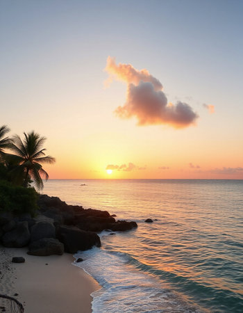 Sunset on the beach with palm trees and rocks in the foregroundの写真素材