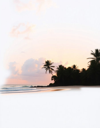 Tropical beach with palm trees at sunset, Sri Lanka.の写真素材