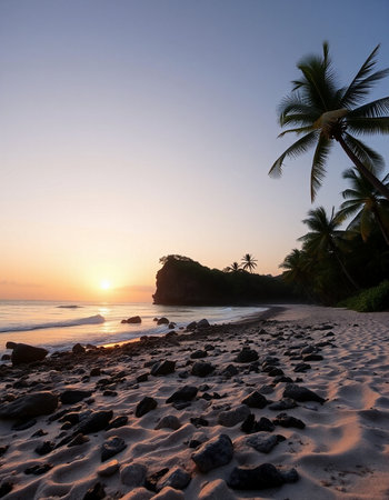 Beautiful sunset on the beach with coconut palm trees and rocks.
