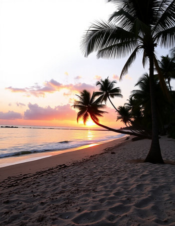 Beautiful tropical beach with coconut palm tree at sunset. Nature background