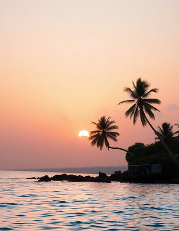 Palm trees and sunset in the tropics. Maldives.
