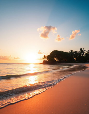 Tropical beach with palm trees at sunset, Sri Lanka.の写真素材