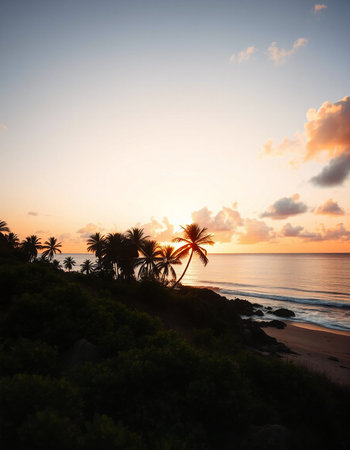 Palm trees silhouetted against a colorful sunset on the beach
