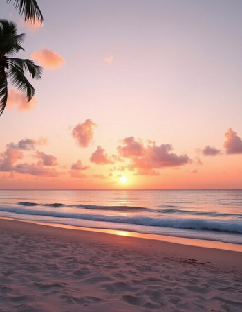Beautiful tropical sunset on the beach with palm trees and sand.の写真素材