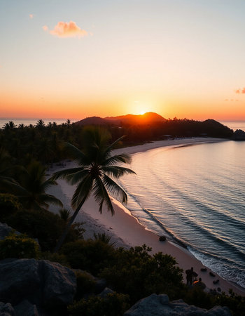 Beautiful Aerial view of beach and sea with coconut palm tree at sunset time for travel and vacationの写真素材