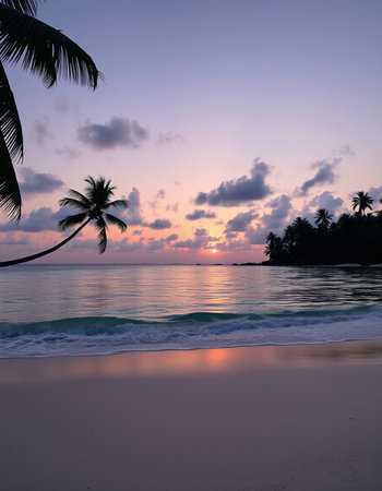 Tropical beach with palm trees at sunset, Seychelles