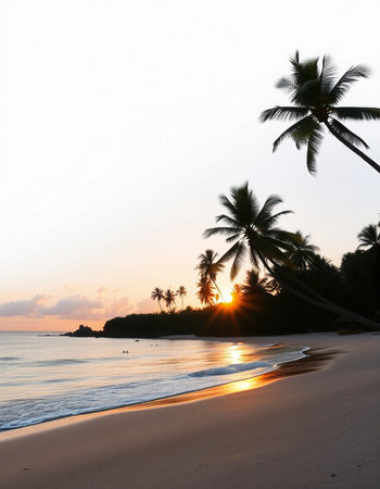 Palm trees silhouettes on the beach at sunset. Tropical background