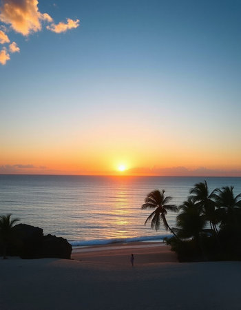 Sunset on the beach of the Caribbean island of Barbados.の写真素材