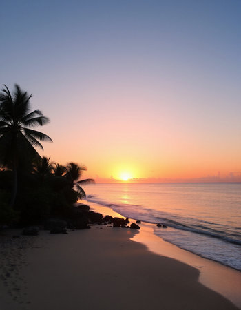 Sunset on the beach with palm trees and rocks. Sri Lanka