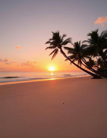 Beautiful tropical beach with coconut palm tree at sunset or sunrise time