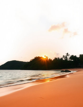 Beautiful tropical beach and sea with coconut palm tree at sunset time - Holiday Vacation conceptの写真素材