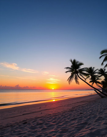 Beautiful sunset on the beach with palm trees. Maldives.の写真素材