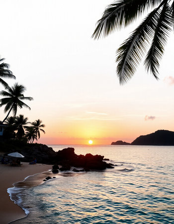 Beautiful tropical beach and sea with coconut palm tree at sunset timeの写真素材