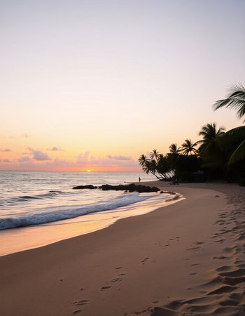 Beautiful sunset on the beach in the tropics with palm trees