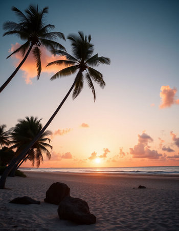 Palm trees silhouetted against the setting sun on a tropical beachの写真素材