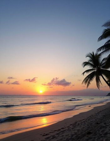 Beautiful sunset on the beach with palm trees in the foreground.