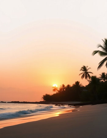 Beautiful sunset on a tropical beach with palm trees and sand.