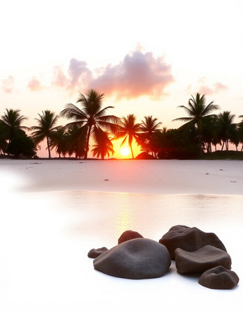 Beautiful tropical beach and sea with coconut palm tree at sunset time - Holiday Vacation conceptの写真素材