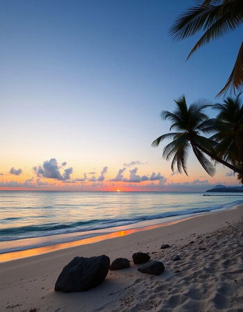 Beautiful tropical beach with coconut palm tree at sunrise. Nature background