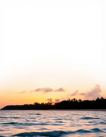 Sunset over the sea with silhouette of palm trees on the islandの写真素材