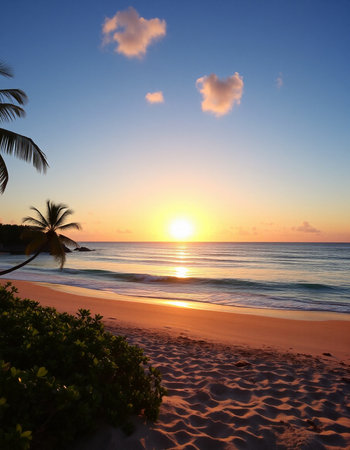Beautiful sunset on the beach of Barbados, Caribbean sea.の写真素材