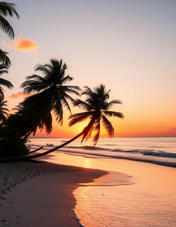 Beautiful tropical beach and sea with coconut palm tree at sunset timeの写真素材