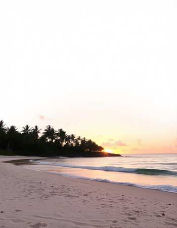 Palm trees on the beach at sunset, Seychelles