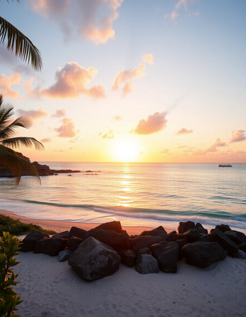 Beautiful sunset on the beach with palm trees and rocks.